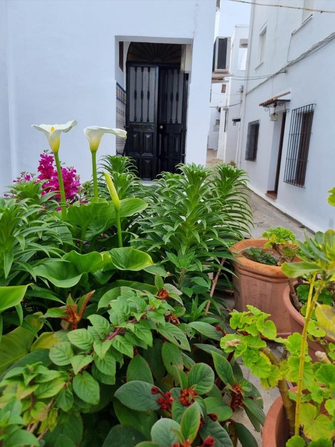 贝赫尔-德拉弗龙特拉Casa Francisca En El Casco Antiguo别墅 外观 照片